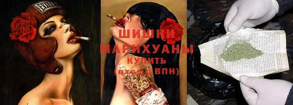 сатива Алексеевка