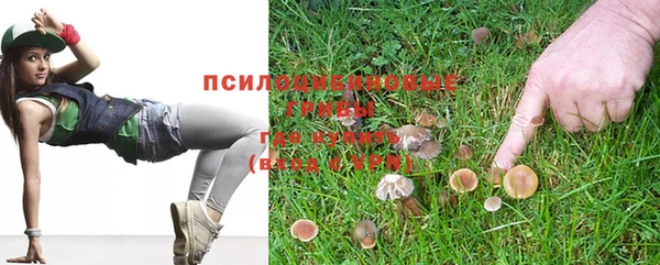спайс Алзамай