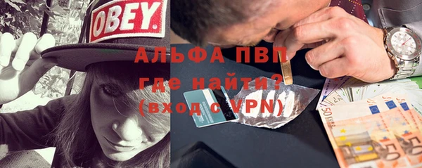 прущие грибы Зеленодольск