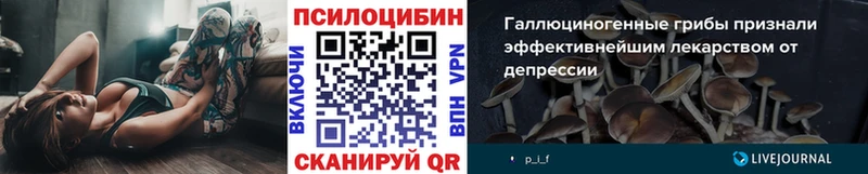 продажа наркотиков  Тосно  Псилоцибиновые грибы Psilocybine cubensis 