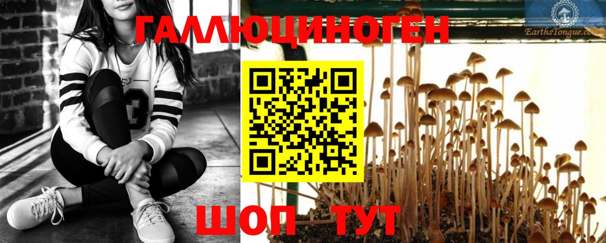Тосно  Галлюциногенные грибы ЛСД  Вход с VPN 