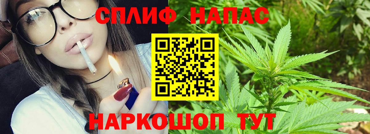 МАРИХУАНА конопля Тосно
